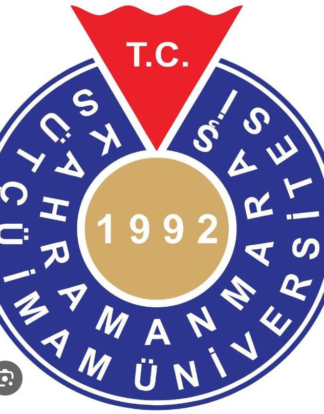 ŞEYDA AKÇAM
